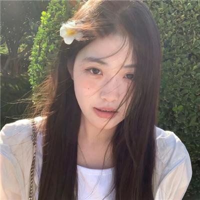 飞燕清歌